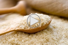 برنج های مصنوعی