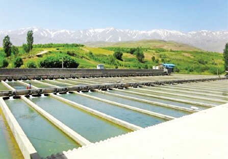 احداث بزرگ‌ترین مزرعه پرورش  ماهی اردبیل در مشگین شهر